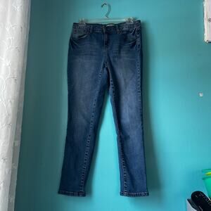 Earl Jean Womens Blue Denim Jeans Size 6 Medium Wash Pants